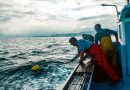 La pesca tradicional, guardiana de la sostenibilidad, en crisis